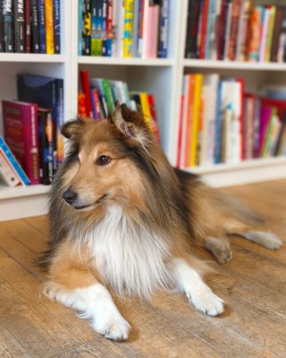 Přejeme vám aspoň o chlup lepší rok.